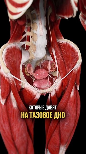 Пиши слово ХОЧУ в комментариях и я пришлю вам рабочее упражнение, которое уберет застой смотреть онлайн