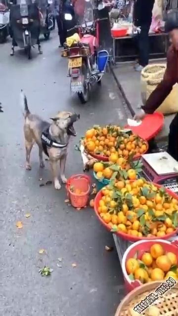 Умеет торговаться