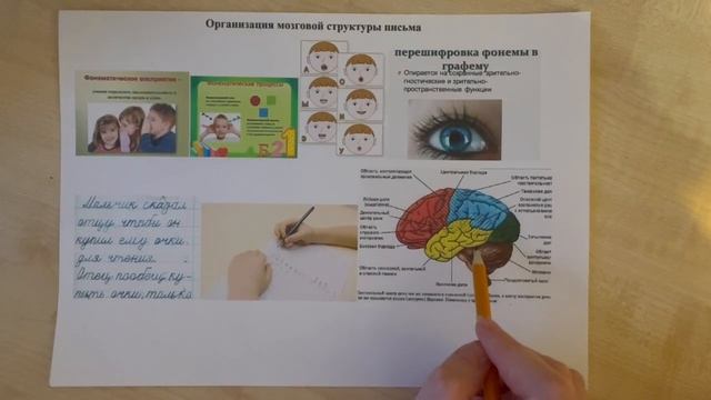Организация мозговой структуры письма смотреть онлайн