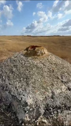 Каменское, Крым