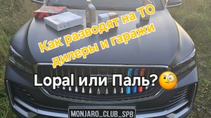 Как нас разводят на ТО дилеры и гаражи. И как не попасть на уловки при обслуживании вашего Monjaro