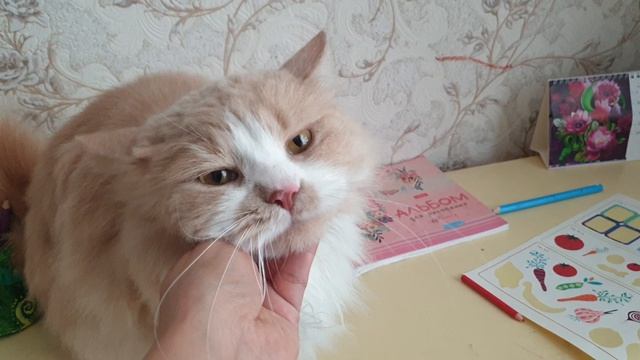 Итоги триостартов сентября // косы на каждом изделии 😅 смотреть онлайн