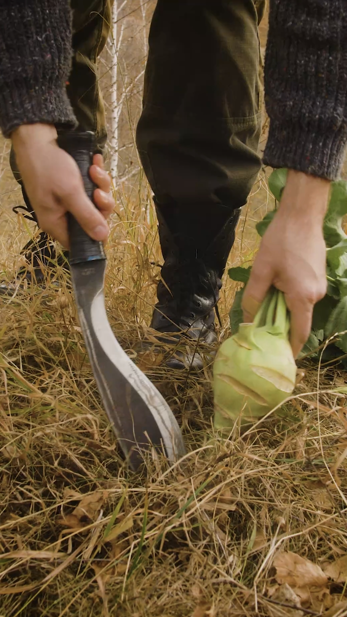 Это спасёт от голода смотреть онлайн