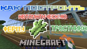 Как построить автоматическую ферму тростника в Майнкрафт