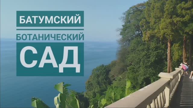 ✨Один день со мной✨ Гуляем по Батумскому Ботаническому Саду✨ Последний тёплый день☀ ✨ смотреть онлайн