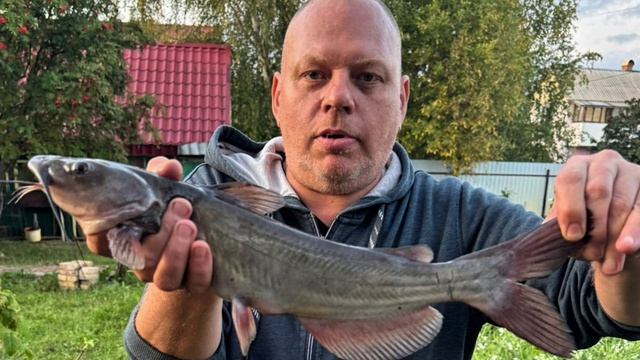 Сомик смотреть онлайн