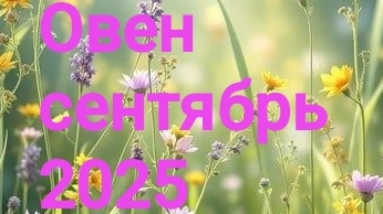 Овен. Сентябрь 2025 год. 🍁🍁🍁 смотреть онлайн