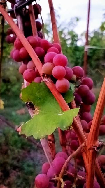 Саратов 🫶🫶🫶