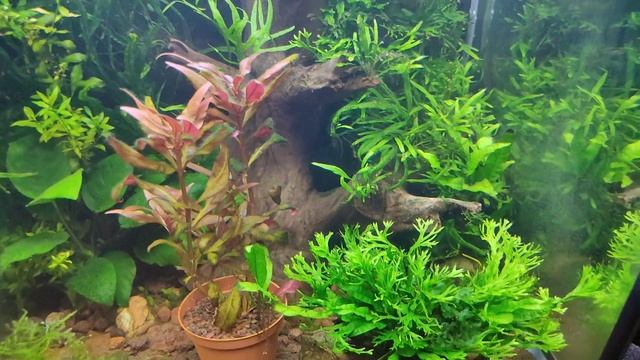 Так себе новости... Встало сразу два фильтра Акваэль смотреть онлайн