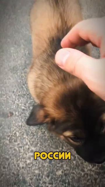 Это 8часть.Путешествие которое изменило меня и я больше не стал прежним.2020 год ковид.