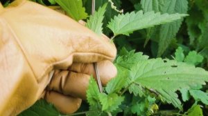 Соло ПУТЕШЕСТВИЕ на велосипеде в ЗАТЕРЯННУЮ деревню | Часть 1