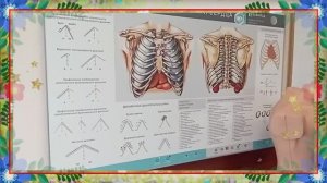 Ремонт медицинского стенда