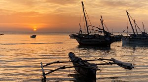 Ныряние к дельфинам в Индийском океане.Занзибар,деревня Кизимкази.