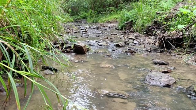 Классный лесной ручей смотреть онлайн