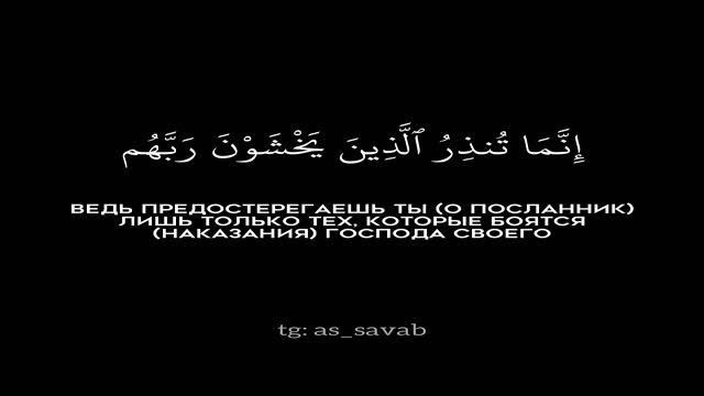 Записи Мусульманина