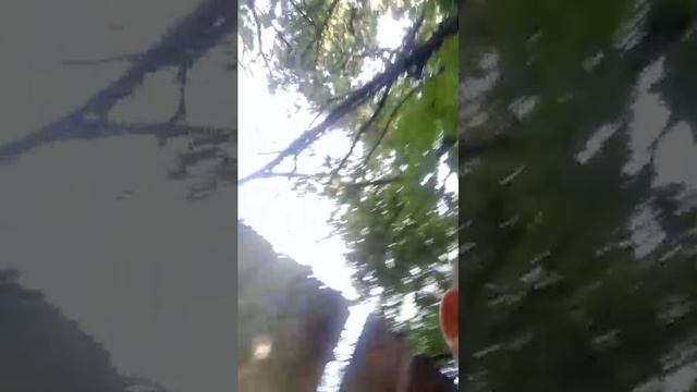 гпоп смотреть онлайн