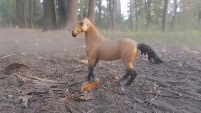 Осенний фотосет 🐎лошади шляйх видео