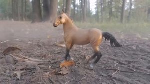 Осенний фотосет 🐎лошади шляйх видео