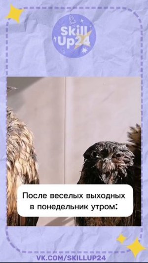 Понедельник после выходных