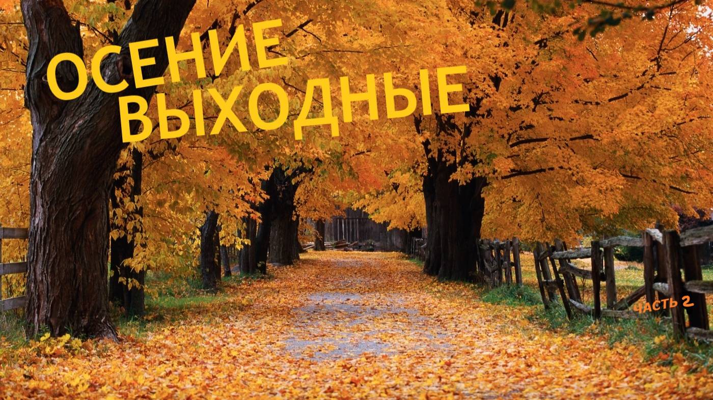 ОСЕНИЕ ВЫХОДНЫЕ (Часть 2) смотреть онлайн