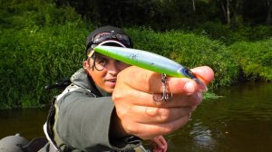 РЫБА НА РЕКЕ С УМА СОШЛА ОТ ЭТОЙ приманки. Судак, щука, Рыбалка на спиннинг в 2025