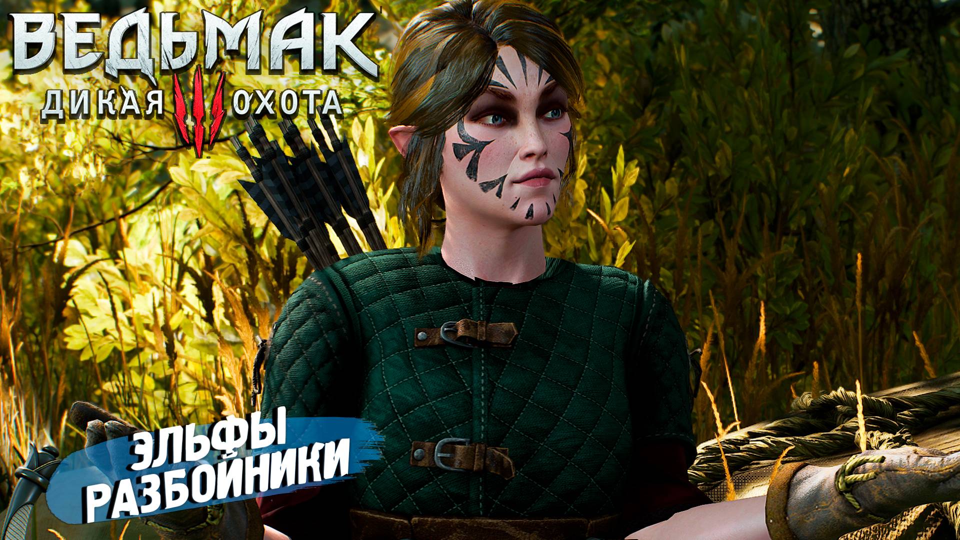 ЭЛЬФЫ РАЗБОЙНИКИ ➤ Ведьмак 3 Дикая Охота #19