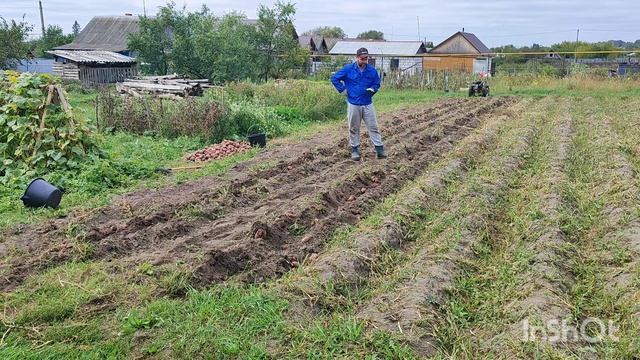 Мотоблок Агат. Копка картошки мотоблоком. Сезон 2025. смотреть онлайн