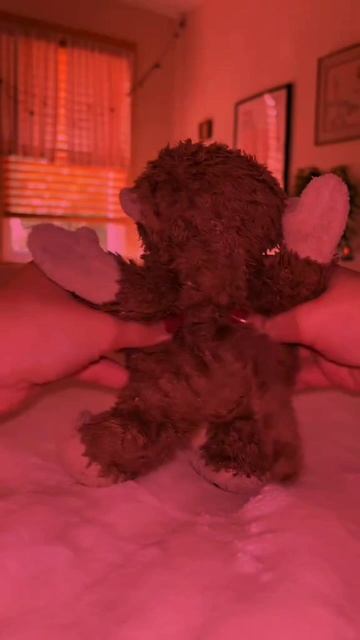 танцующие обезьянки которые сделают этот день!