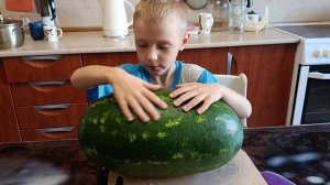 Выбираем Арбуз с Даней!