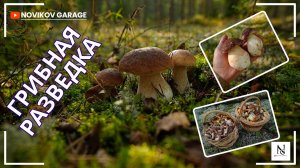 Грибная разведка 06 сентября 2025. Приозерский район.