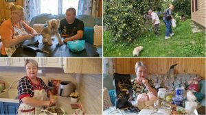 ПОСТРИГЛИ ТЭФФИ,ОТПРАВИЛА ГРИБЫ В МОРОЗИЛКУ, ПОСМОТРИМ ПОКУПКИ И ЗАКАЗЫ С WILDBERRIES .