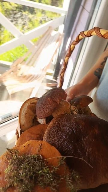 В этой корзинке — не просто грибы, а частичка моего сердца, наполненная теплом рассветного солнца и