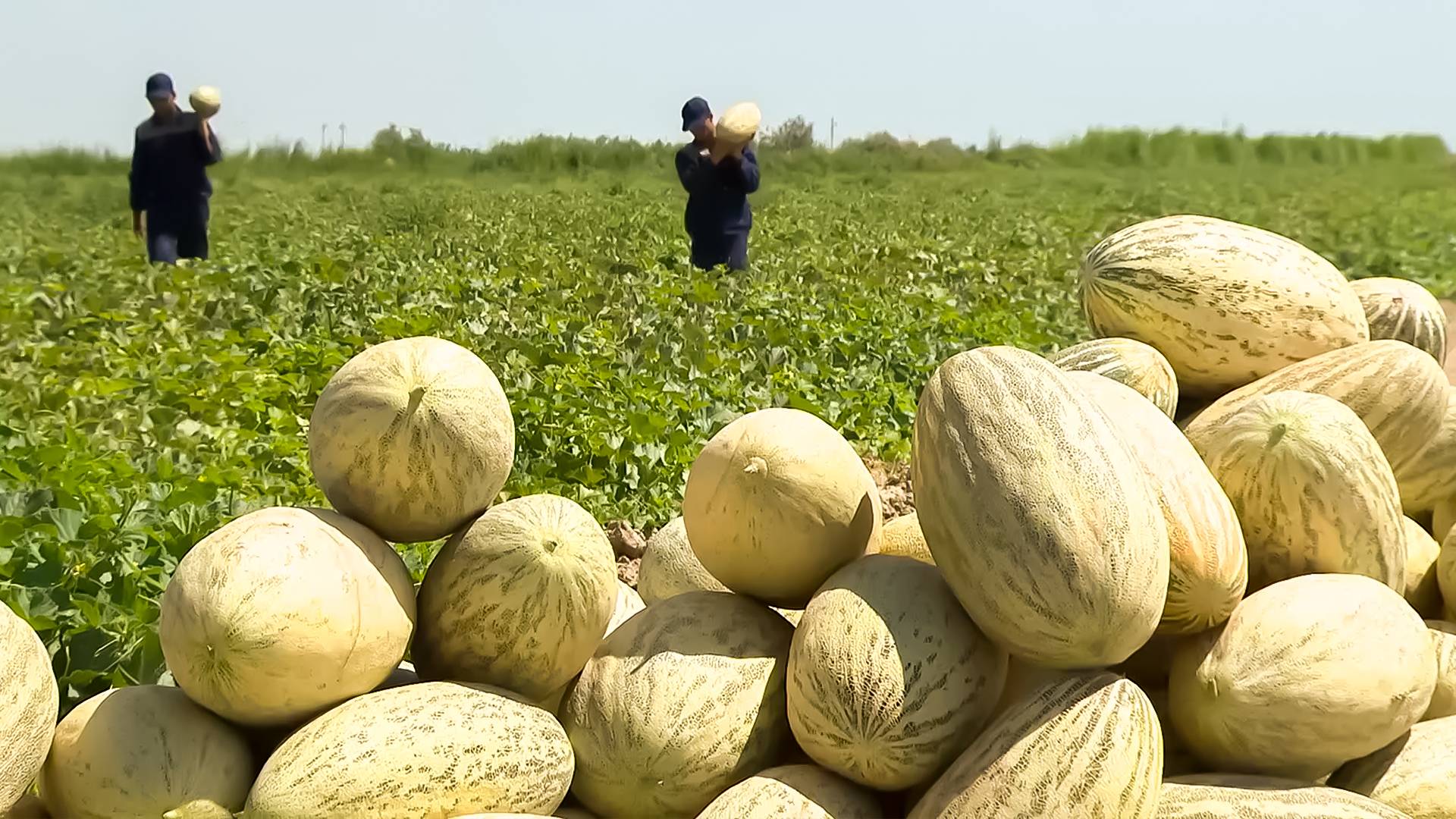 Телеканал МИР