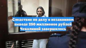 Следствие по делу о незаконном выводе 250 миллионов рублей Чекалиной завершилось
