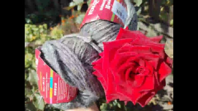 МОЙ НОВЫЙ ПРОЦЕСС, ПРЯЖА ПРОСТО💥 смотреть онлайн