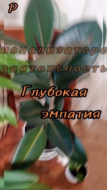 7 сентября.
АСТРОЛОГИЯ ДНЯ.

Развитая интуиция, богатое воображение.
(Глубокая  эмпатия.)
Склонность