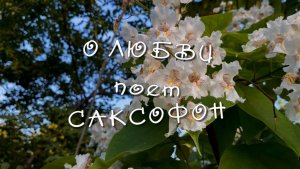 О любви поет саксофон, Андрей Обидин, музыка для души