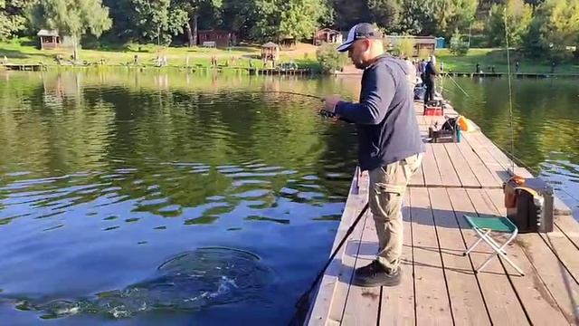 Рыбалка в Красногорске Биг Карп.