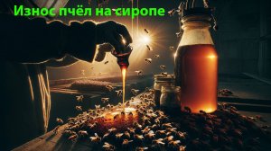 Сахарный сироп для пчел: износ пчёл на переработке. Мнение Кашковского