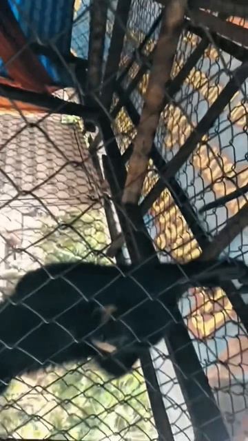 Это 1 часть видео.Путешествие которое изменило меня и я больше не стал прежним.2020 год ковид.