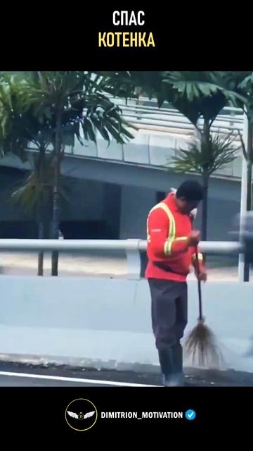 Дворник спас котенка #саморазвитие смотреть онлайн