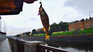 РЫБАЛКА НА КАНАЛЕ И НА РЕКЕ