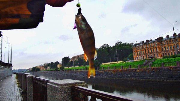 РЫБАЛКА НА КАНАЛЕ И НА РЕКЕ