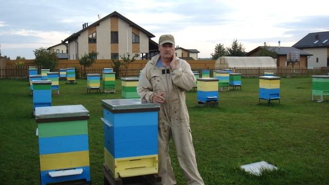 Баскаковский мед