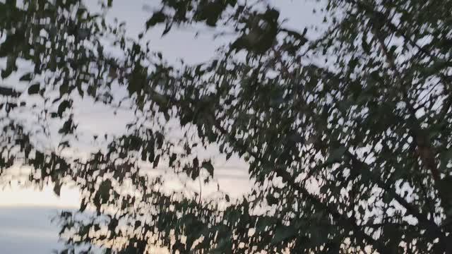 Деревенская эстетика