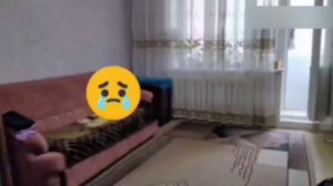 Приключения Смайлика и Мити анонс каждое утро 7:00 до 11:00 на НТТ