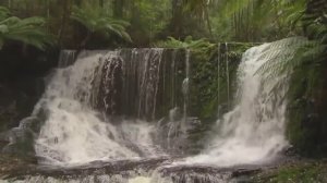 КРАСИВОЕ ВИДЕО ПРИРОДЫ С МУЗЫКОЙ 😊