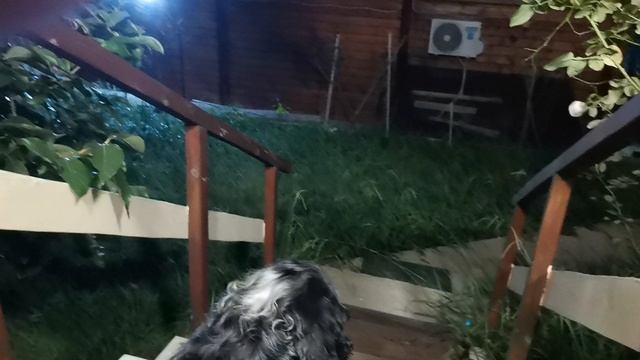 СОЧИ ГОРНОЕ ЛОО УТРО 07.09.2025 смотреть онлайн