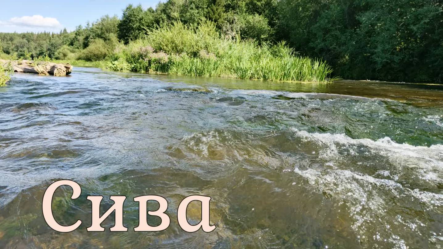 Сплав по реке Сива Пермский край-Удмуртия. ВНДС.2025.