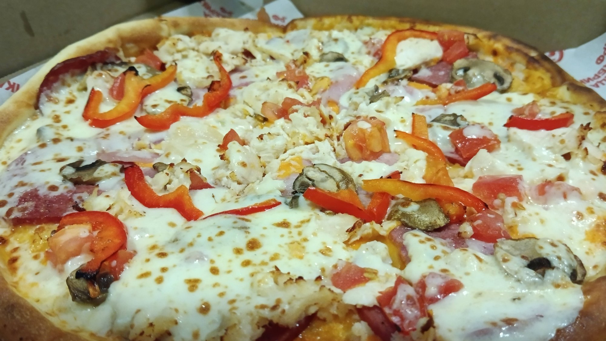 Дневник_ВОЛОГЖАНКИ